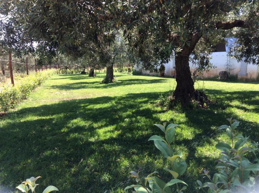 Residenze Gli Ulivi Appartement Orosei Buitenkant foto